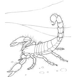 Dessin à colorier: Scorpion (Animaux) #14553 - Coloriages à Imprimer Gratuits