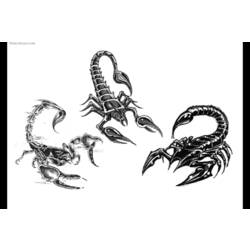 Dessin à colorier: Scorpion (Animaux) #14572 - Coloriages à Imprimer Gratuits