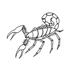Dessin à colorier: Scorpion (Animaux) #14574 - Coloriages à Imprimer Gratuits