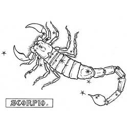 Dessin à colorier: Scorpion (Animaux) #14596 - Coloriages à Imprimer Gratuits