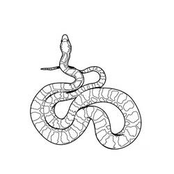 Dessin à colorier: Serpent (Animaux) #14337 - Coloriages à Imprimer Gratuits