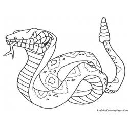 Dessin à colorier: Serpent (Animaux) #14342 - Coloriages à imprimer