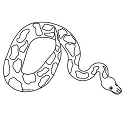 Dessin à colorier: Serpent (Animaux) #14352 - Coloriages à imprimer