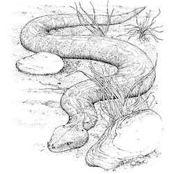 Dessin à colorier: Serpent (Animaux) #14355 - Coloriages à Imprimer Gratuits