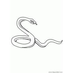 Dessin à colorier: Serpent (Animaux) #14365 - Coloriages à Imprimer Gratuits