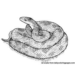 Dessin à colorier: Serpent (Animaux) #14428 - Coloriages à imprimer