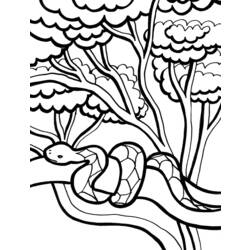 Dessin à colorier: Serpent (Animaux) #14453 - Coloriages à Imprimer Gratuits