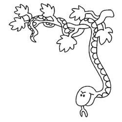 Dessin à colorier: Serpent (Animaux) #14466 - Coloriages à Imprimer Gratuits