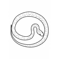 Dessin à colorier: Serpent (Animaux) #14482 - Coloriages à Imprimer Gratuits