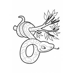 Dessin à colorier: Serpent (Animaux) #14486 - Coloriages à Imprimer Gratuits