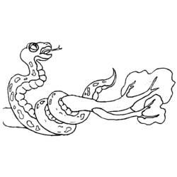 Dessin à colorier: Serpent (Animaux) #14502 - Coloriages à Imprimer Gratuits