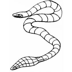 Dessin à colorier: Serpent (Animaux) #14512 - Coloriages à Imprimer Gratuits