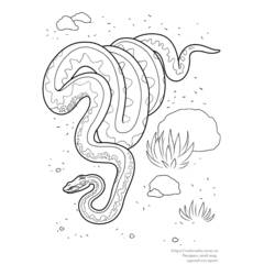 Dessin à colorier: Serpent (Animaux) #14529 - Coloriages à Imprimer Gratuits