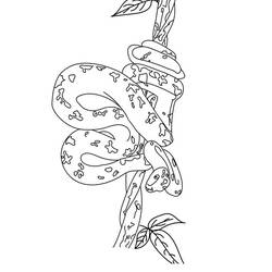 Coloriage Serpent (Animaux) #175151 à imprimer et colorier