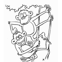 Coloriage Singe (Animaux) #175025 à imprimer et colorier