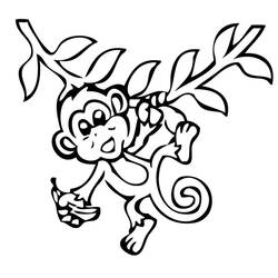 Coloriage Singe (Animaux) #175030 à imprimer et colorier