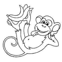 Coloriage Singe (Animaux) #175045 à imprimer et colorier