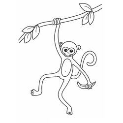 Coloriage Singe (Animaux) #175049 à imprimer et colorier