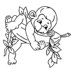 Coloriage Singe (Animaux) #175053 à imprimer et colorier