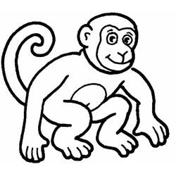 Coloriage Singe (Animaux) #175061 à imprimer et colorier