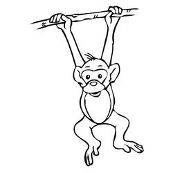 Coloriage Singe (Animaux) #216789 à imprimer et colorier