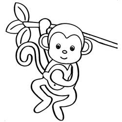 Coloriage Singe (Animaux) #216794 à imprimer et colorier