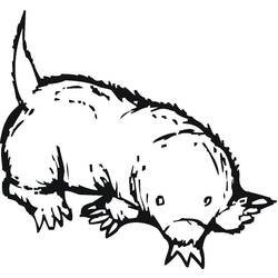 Dessin à colorier: Taupe (Animaux) #210771 - Coloriages à Imprimer Gratuits