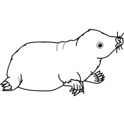 Dessin à colorier: Taupe (Animaux) #210774 - Coloriages à Imprimer Gratuits