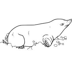 Dessin à colorier: Taupe (Animaux) #210777 - Coloriages à Imprimer Gratuits