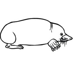 Dessin à colorier: Taupe (Animaux) #210785 - Coloriages à Imprimer Gratuits