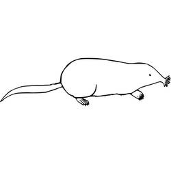Dessin à colorier: Taupe (Animaux) #210789 - Coloriages à Imprimer Gratuits