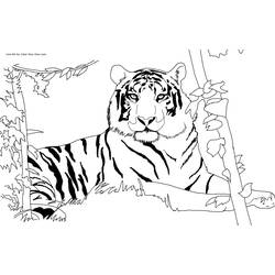 Dessin à colorier: Tigre (Animaux) #13590 - Coloriages à Imprimer Gratuits