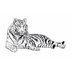 Dessin à colorier: Tigre (Animaux) #13607 - Coloriages à Imprimer Gratuits