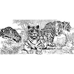 Dessin à colorier: Tigre (Animaux) #13691 - Coloriages à Imprimer Gratuits