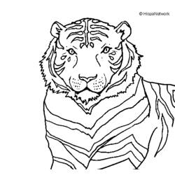 Dessin à colorier: Tigre (Animaux) #13772 - Coloriages à Imprimer Gratuits