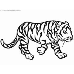 Dessin à colorier: Tigre (Animaux) #13781 - Coloriages à Imprimer Gratuits