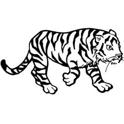 Coloriage Tigre (Animaux) #174932 à imprimer et colorier
