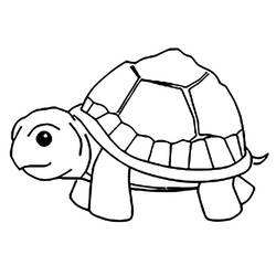 Coloriage à imprimer Tortue (Animaux) #180089 pour enfants et adultes