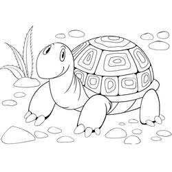 Coloriage imprimable Tortue (Animaux) #180096 à colorier gratuitement