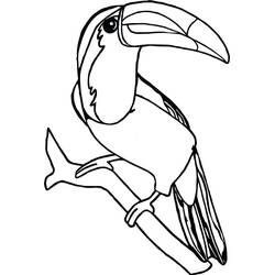 Dessin à colorier: Toucan (Animaux) #197548 - Coloriages à Imprimer Gratuits