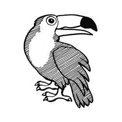 Dessin à colorier: Toucan (Animaux) #197551 - Coloriages à Imprimer Gratuits