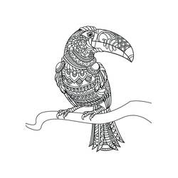Dessin à colorier: Toucan (Animaux) #197552 - Coloriages à Imprimer Gratuits