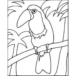 Dessin à colorier: Toucan (Animaux) #197557 - Coloriages à Imprimer Gratuits