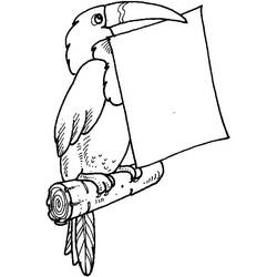 Dessin à colorier: Toucan (Animaux) #197563 - Coloriages à Imprimer Gratuits