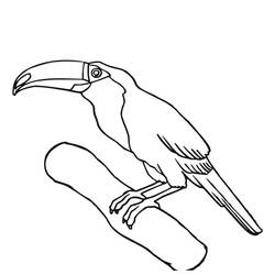 Dessin à colorier: Toucan (Animaux) #197568 - Coloriages à Imprimer Gratuits