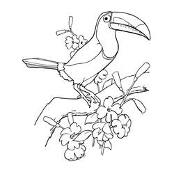 Dessin à colorier: Toucan (Animaux) #197573 - Coloriages à Imprimer Gratuits