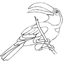 Dessin à colorier: Toucan (Animaux) #197574 - Coloriages à Imprimer Gratuits