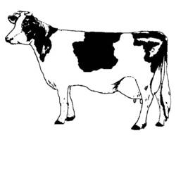 Dessin à colorier: Vache (Animaux) #13196 - Coloriages à imprimer