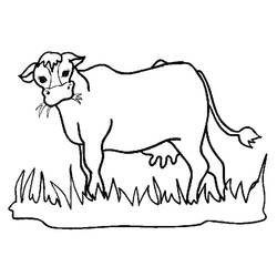 Coloriage Vache (Animaux) #178297 à imprimer et colorier