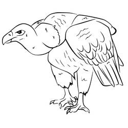 Dessin à colorier: Vautour (Animaux) #205313 - Coloriages à Imprimer Gratuits